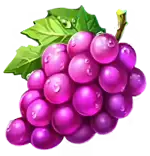 Grapes symbol